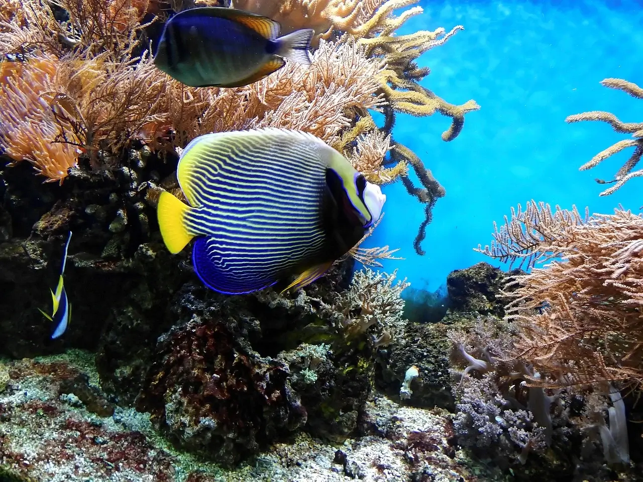 Recent trip photo